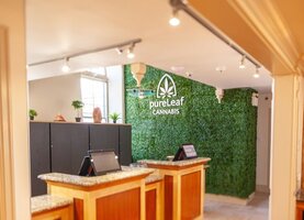 The 10 Best Weed Dispensaries in Ottawa