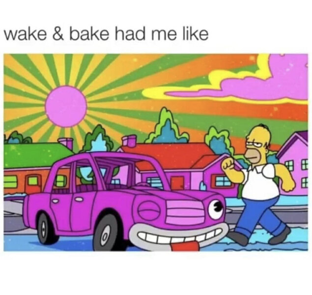 The Simpsons Wake and Bake Weed Meme