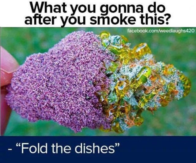 fold the dishes weed meme