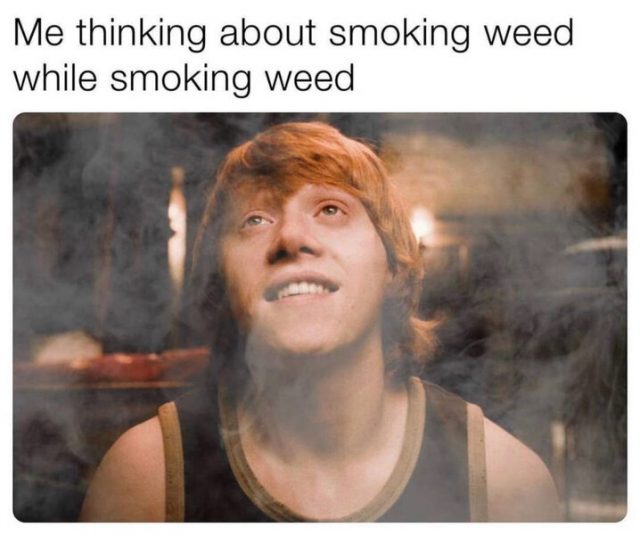 98 Best Weed Memes (2021) - Try Not to Laugh 😂