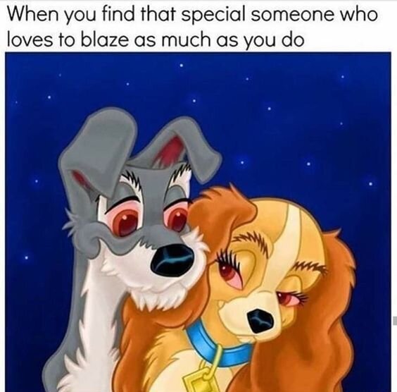 lady and the tramp weed meme