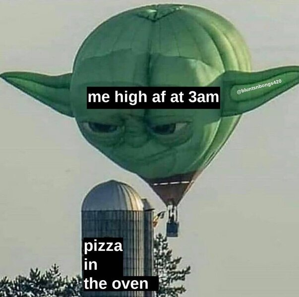 pizza in the oven weed meme