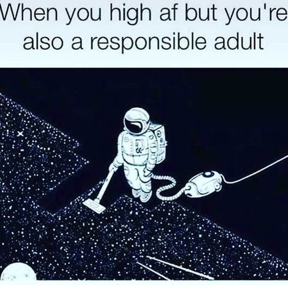 responsible adult weed meme