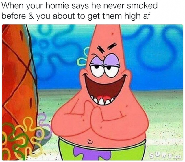 spongebob weed meme