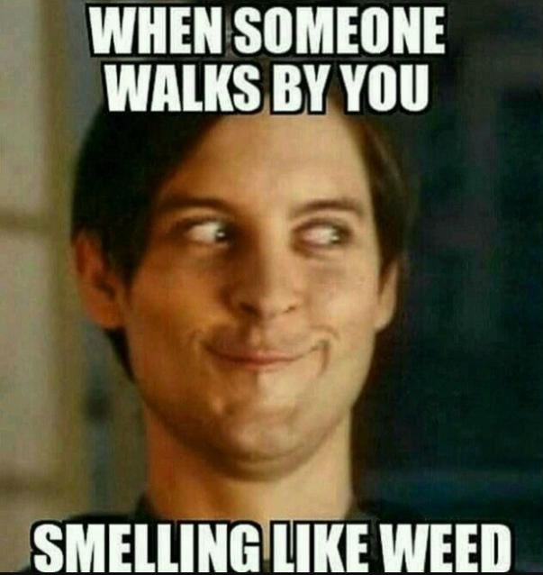 smelling like weed meme