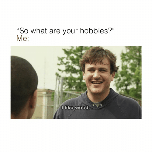 what are your hobbies weed meme