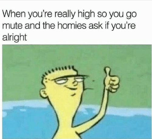 when you're really high and the homies ask if you're alright weed meme