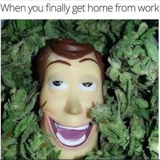 121 Funniest Weed Memes For You & Your Stoner Friends - Cannabunga