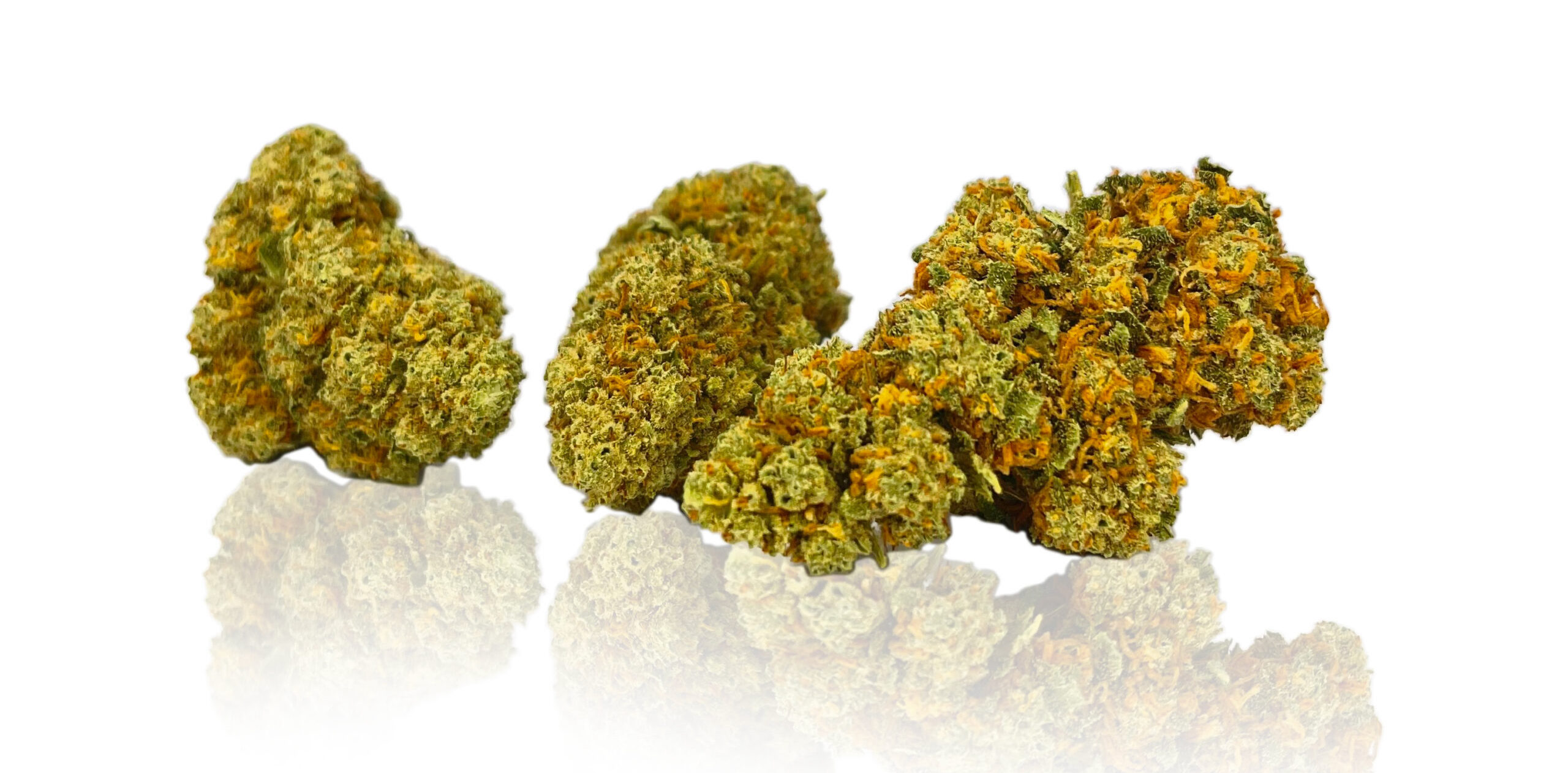 What are CBD Buds? A Guide to CBD Flowers