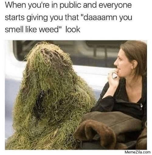 121 Funniest Weed Memes For You & Your Stoner Friends