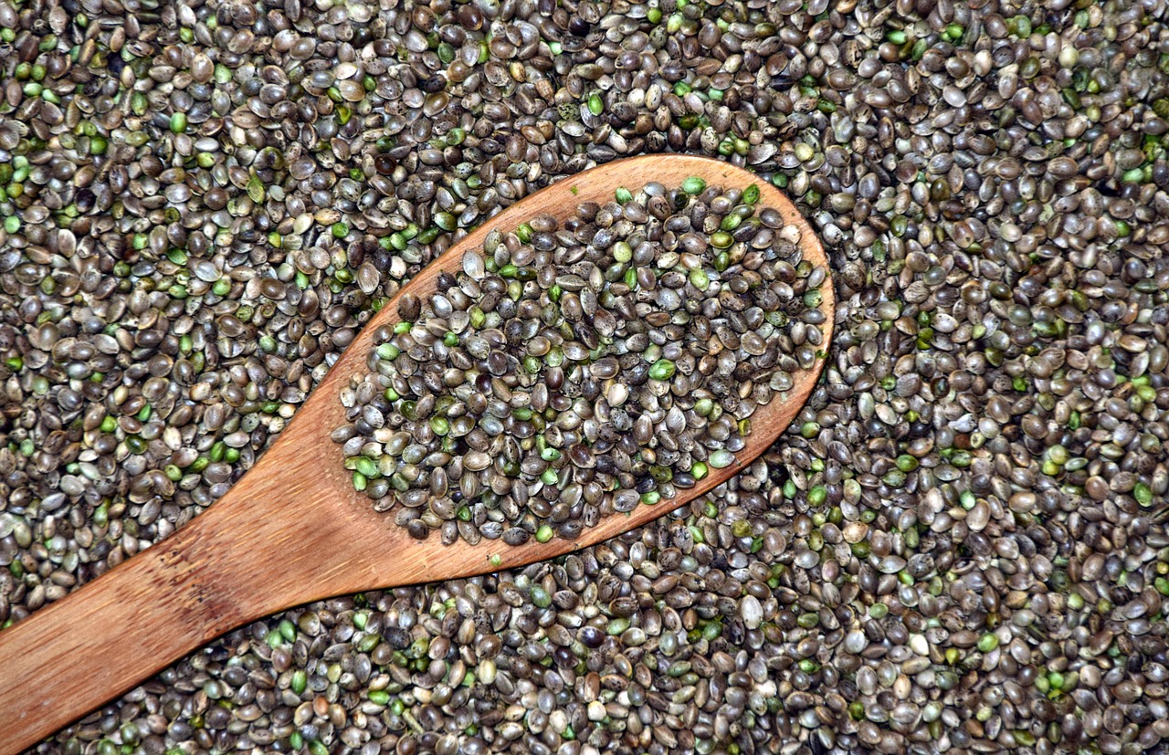 What are Hemp Seeds? Complete Guide
