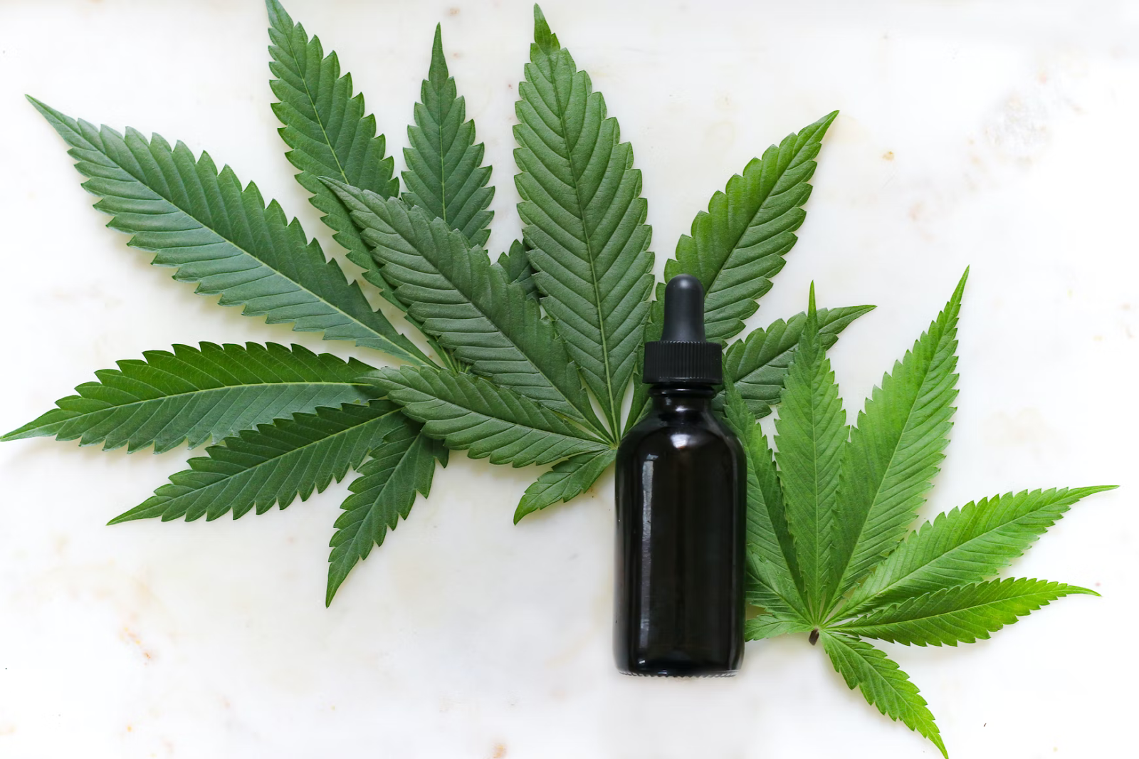 CBD for Dental Health: 5 Things to Know Before Opting for It