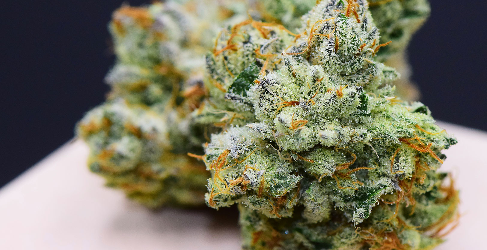 Pootie Tang Strain Review